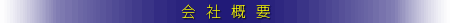 ЊTv
